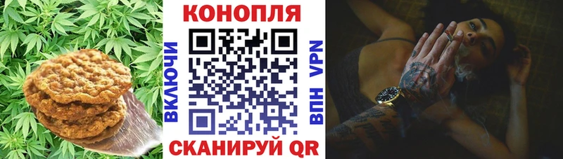 купить закладку  Спас-Деменск  Canna-Cookies конопля 