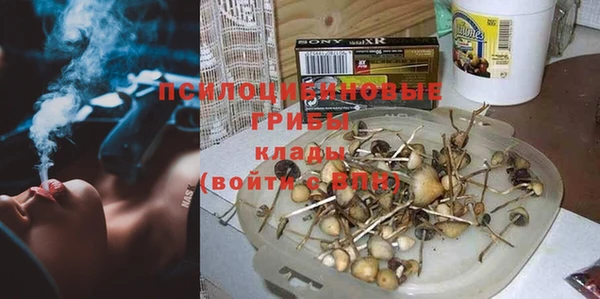 СК Арсеньев